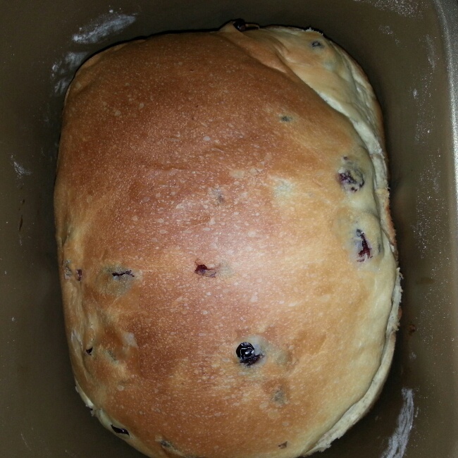 柏翠6900面包机淡奶油土司