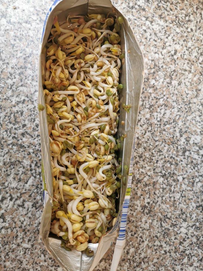 好吃又好玩 牛奶盒发豆芽