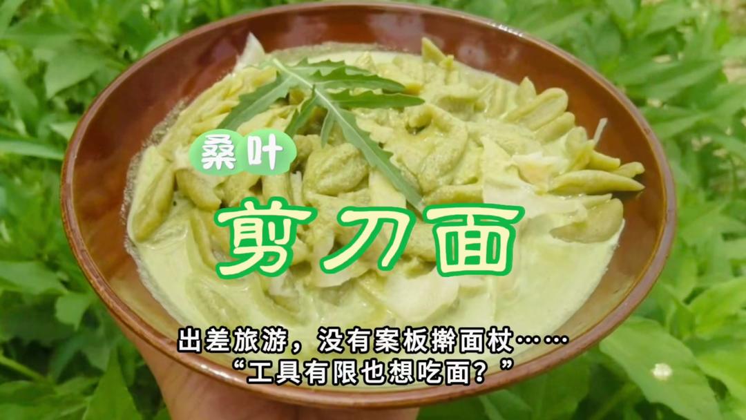 桑叶剪刀面🍜用剪刀做的面♡山西特色面食♡低脂纯素0添加