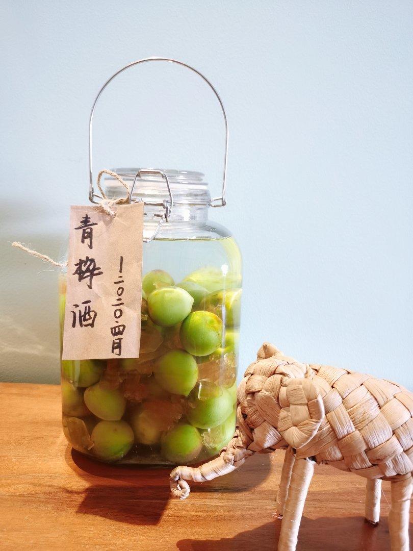自酿超好喝的青梅酒/梅子酒