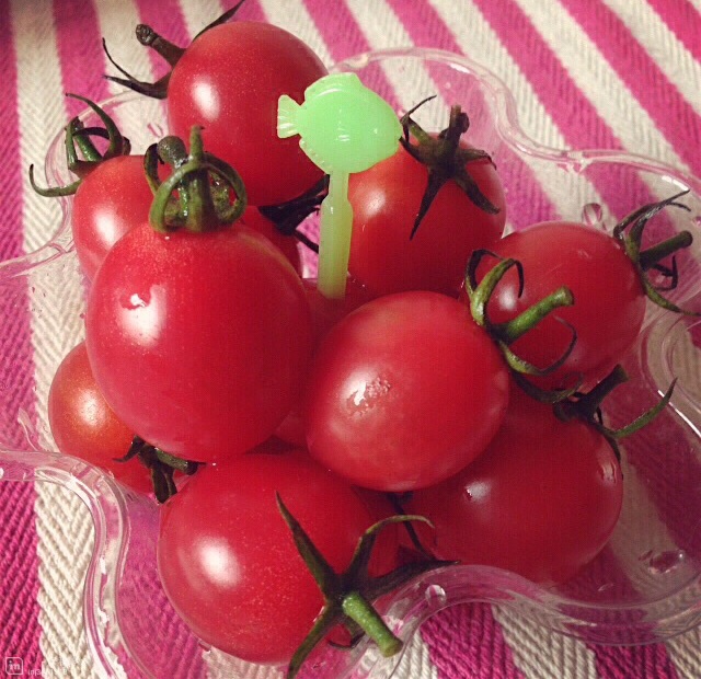 .。o○ 蔬菜瓜果好健康 ○o。.