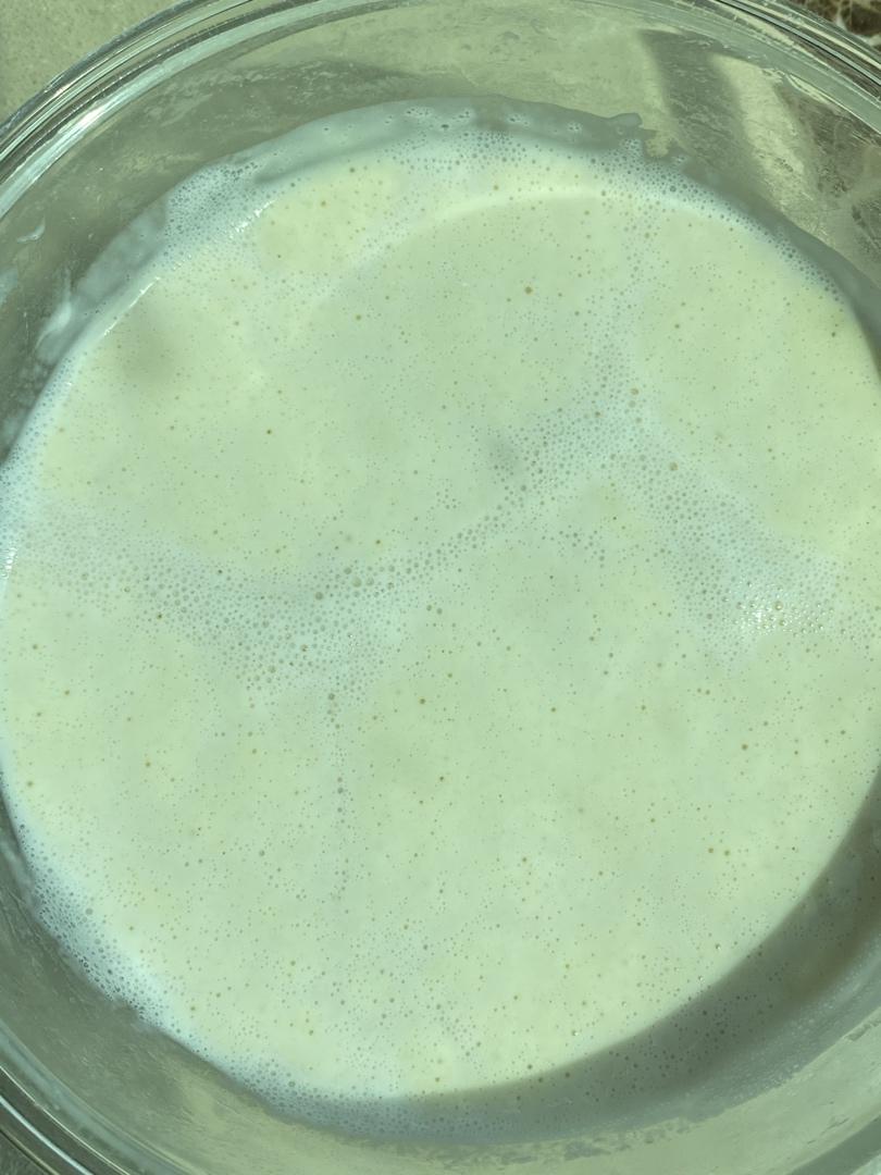 1:1天然酵母（鲁邦种）养成计划