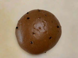 巧克力雪芙奶油面包的做法 步骤5
