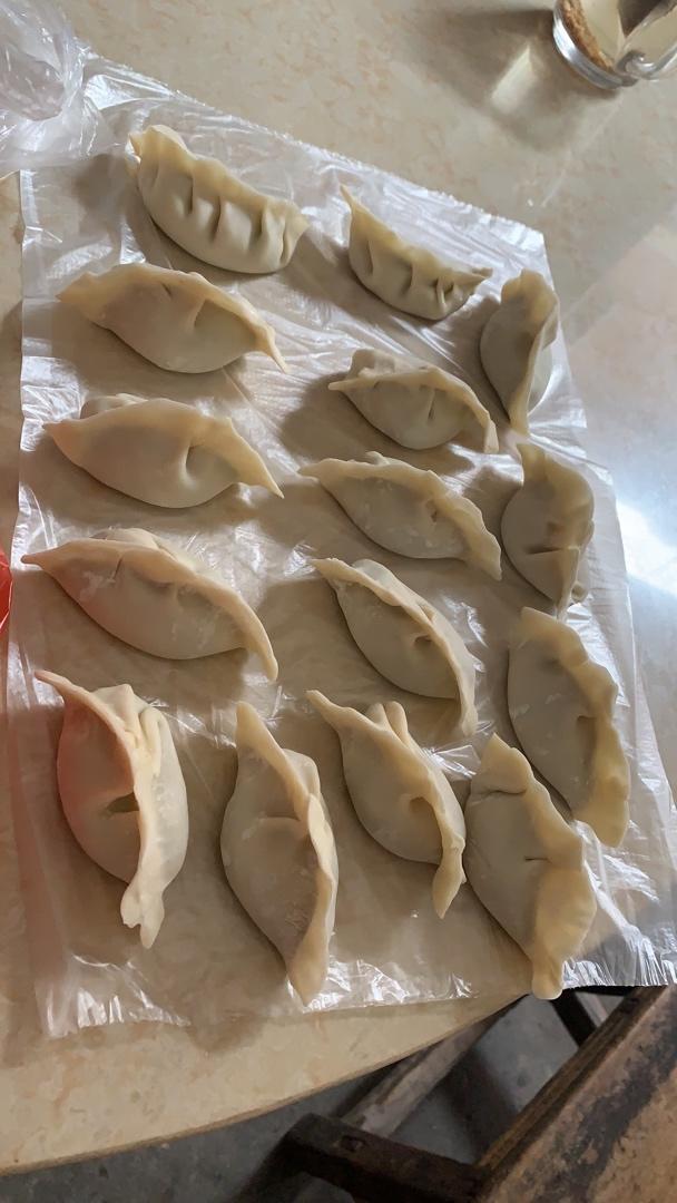 韭菜猪肉饺子(最简单最好吃又最多汁的饺子)