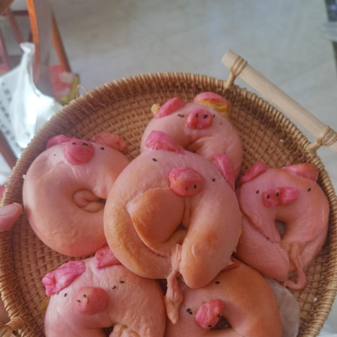 猪猪贝果🐷