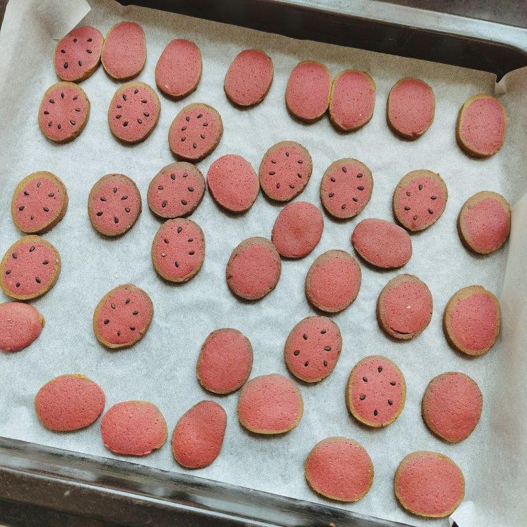 西瓜饼干🍉