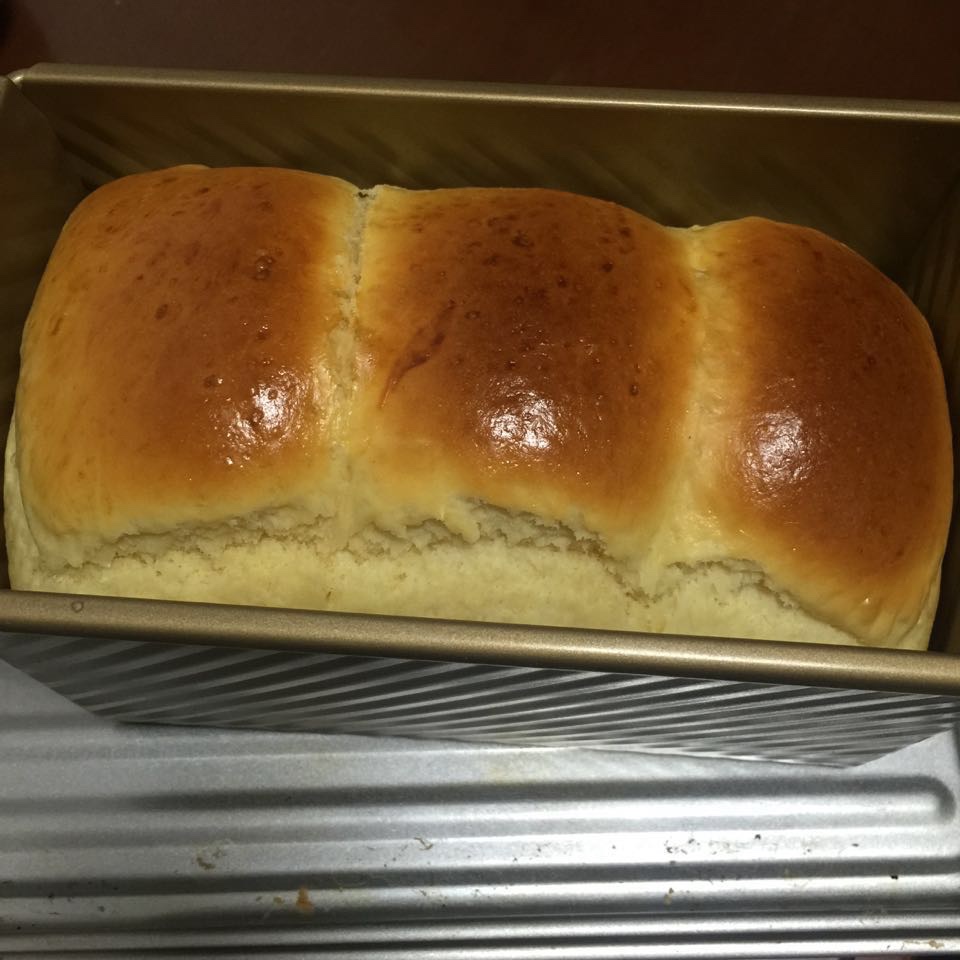 基础面包制作 Basic Bread (Loaf&Roll)