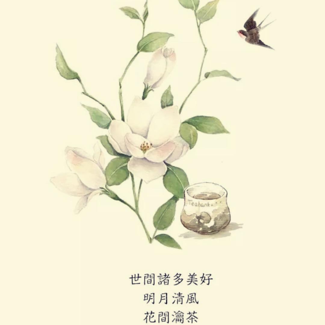 陌上小桑榆