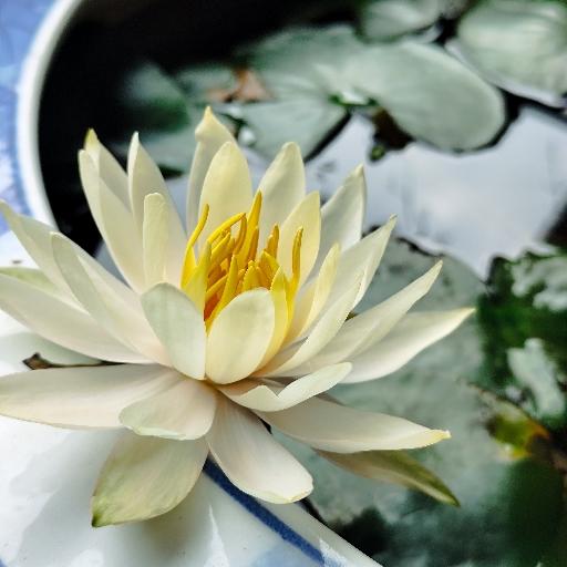 慢慢更好