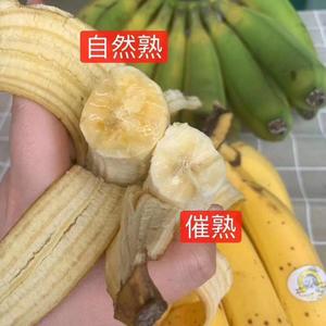 轻松自制香蕉飞饼的做法 步骤9