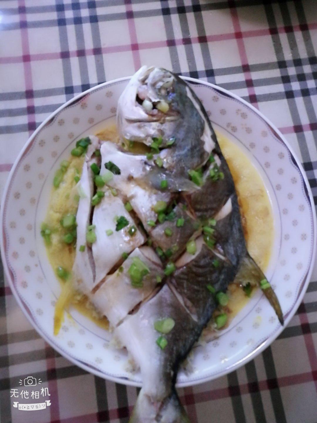 芙蓉金鲳