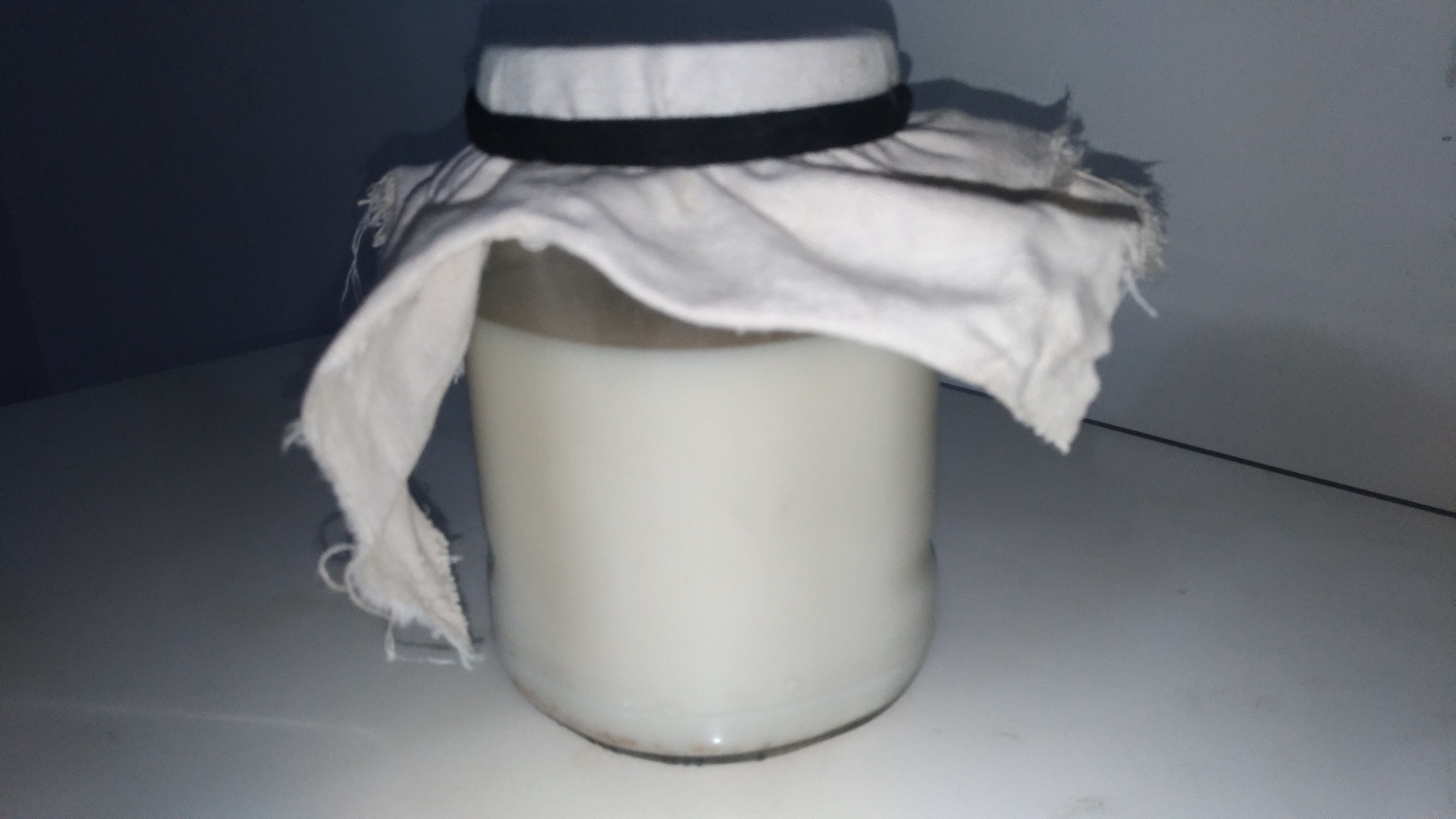 [纯素]水开菲尔鲜核桃植物酸奶的做法 步骤10