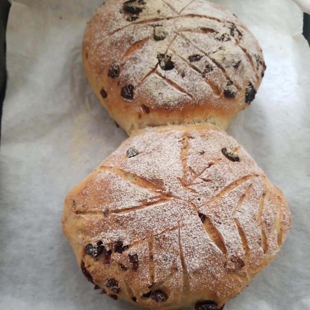 免揉低脂黑麦坚果软欧（烫种+波兰种）