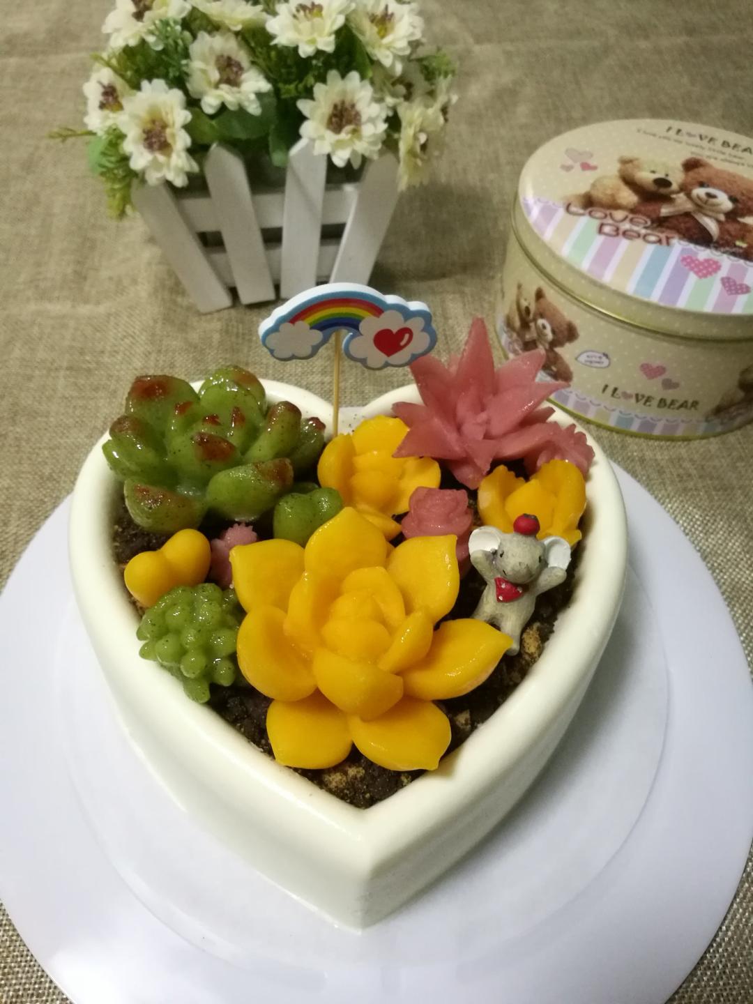 堂妈的多肉蛋糕