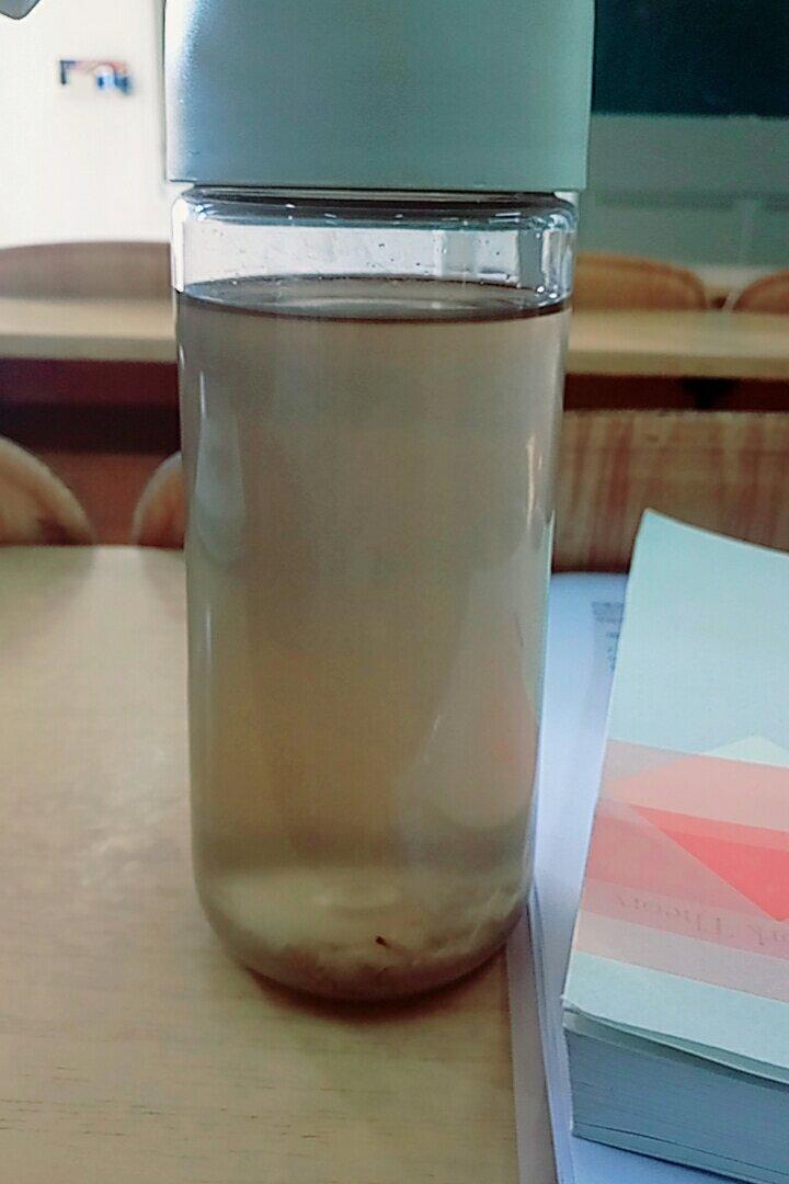 冰糖鱼腥草水