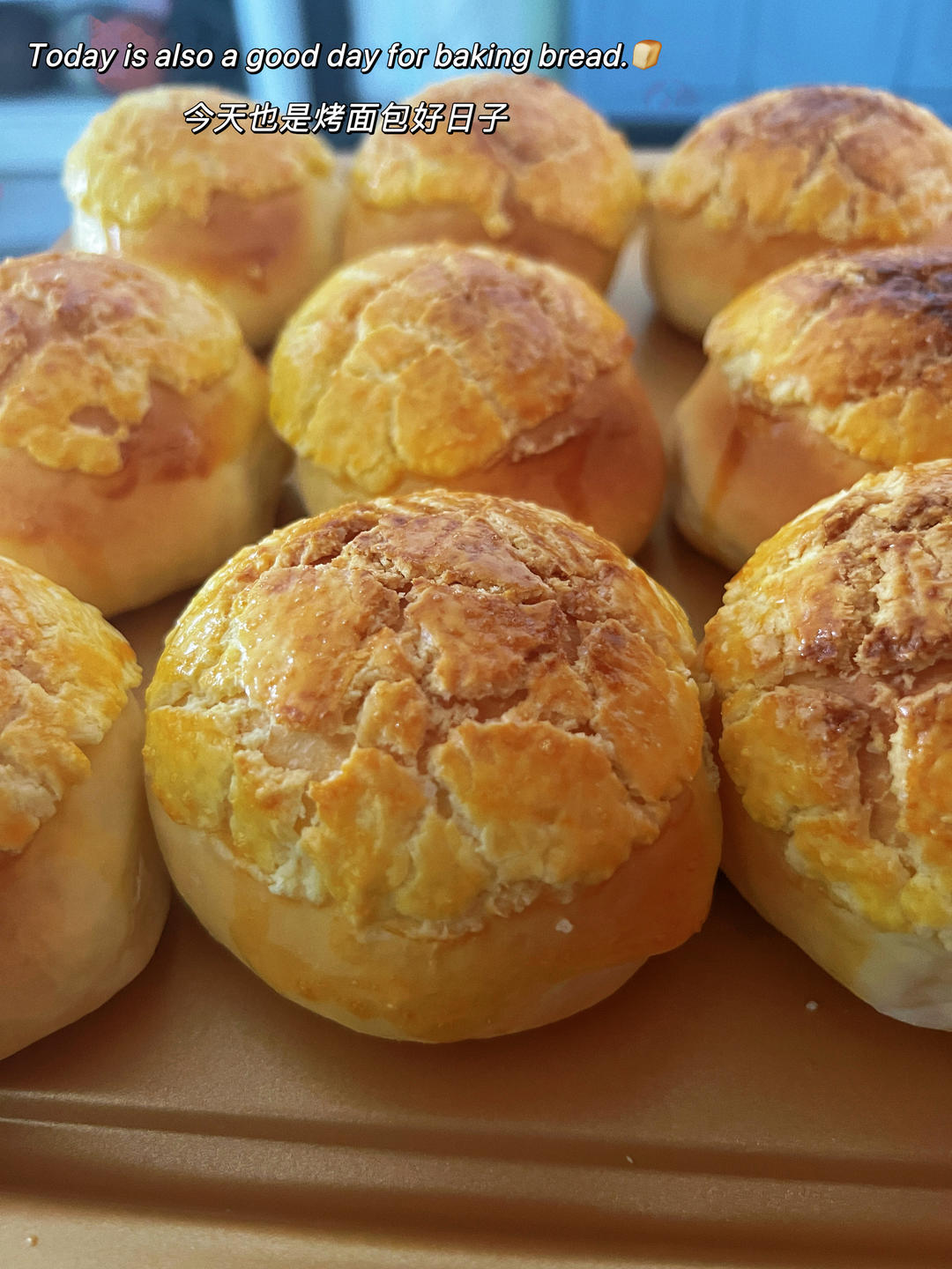 万能的、超级方便的百分百中种冷藏发酵法面包、菠萝包