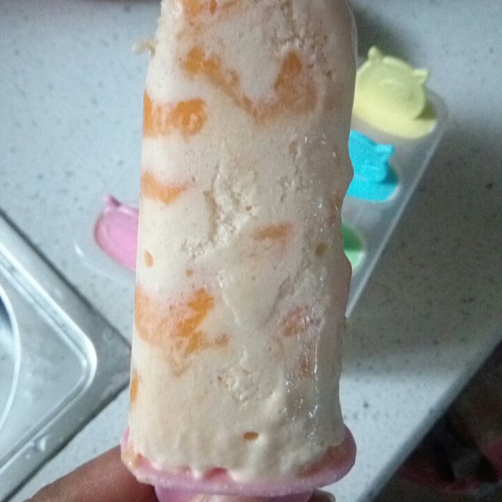 自制哈根达斯风味的冰淇淋