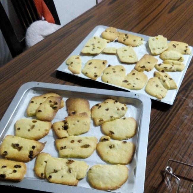 蔓越莓饼干（君之配方改良，易操作版）