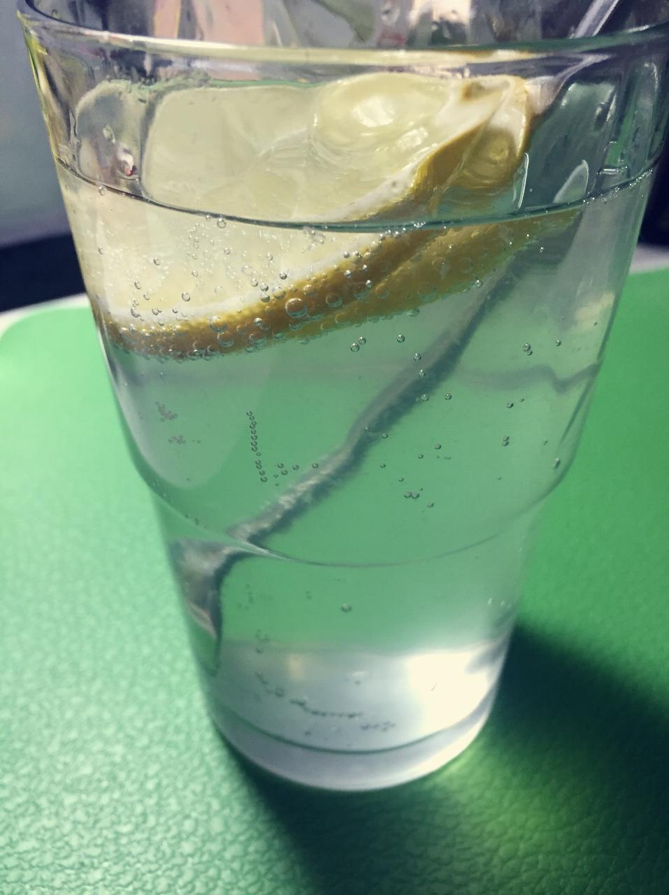 karrie-十年做的gin tonic 金汤力