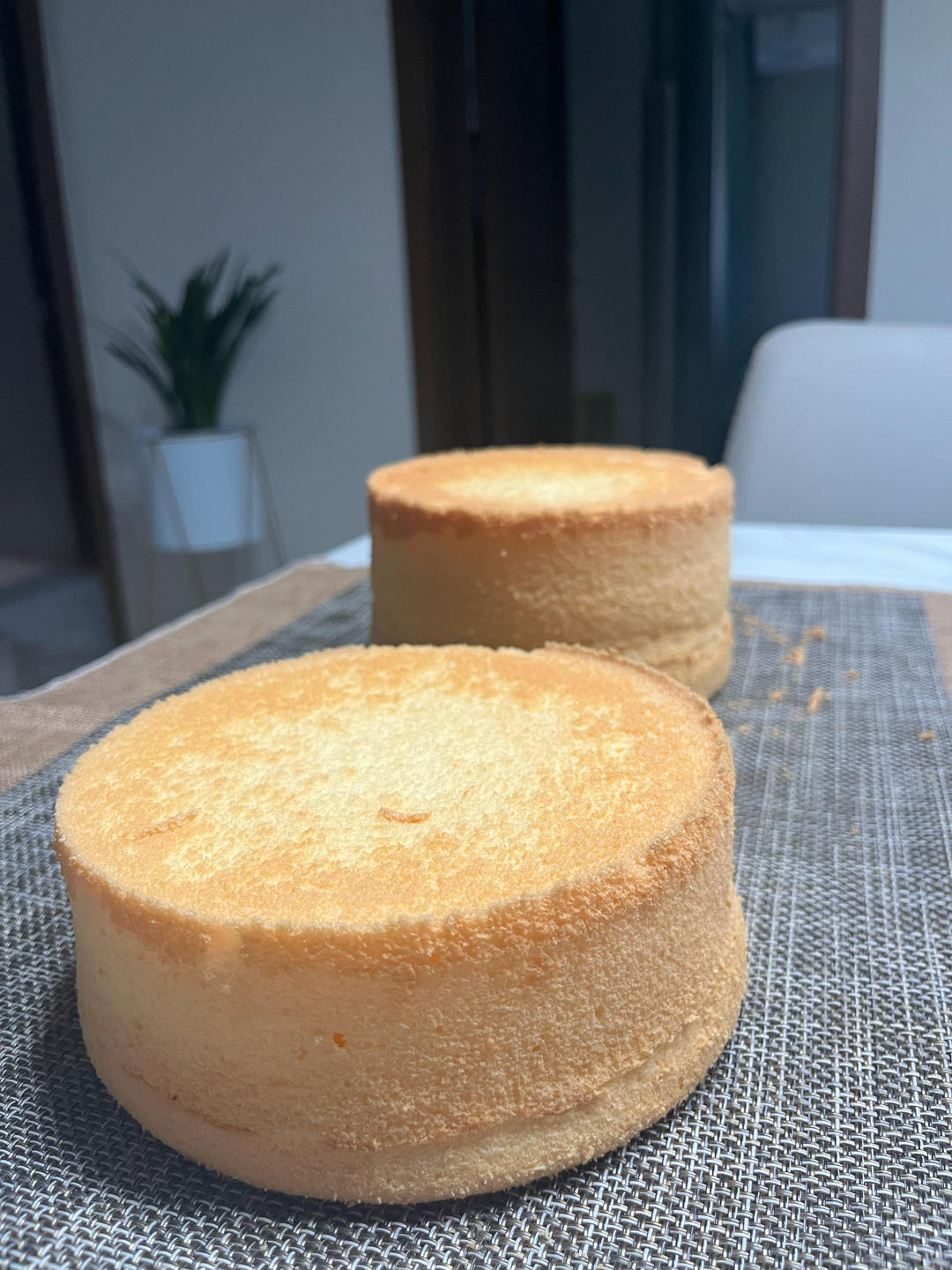 6寸基础戚风（蛋糕胚）