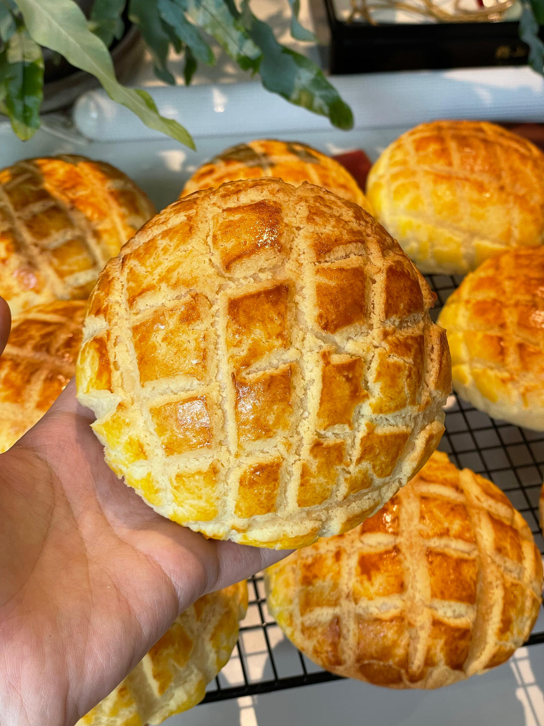 好吃到炸裂的港式菠萝包（附带制作酥皮的小视频）