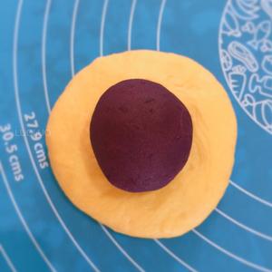 奶香南瓜紫薯面包圈的做法 步骤6