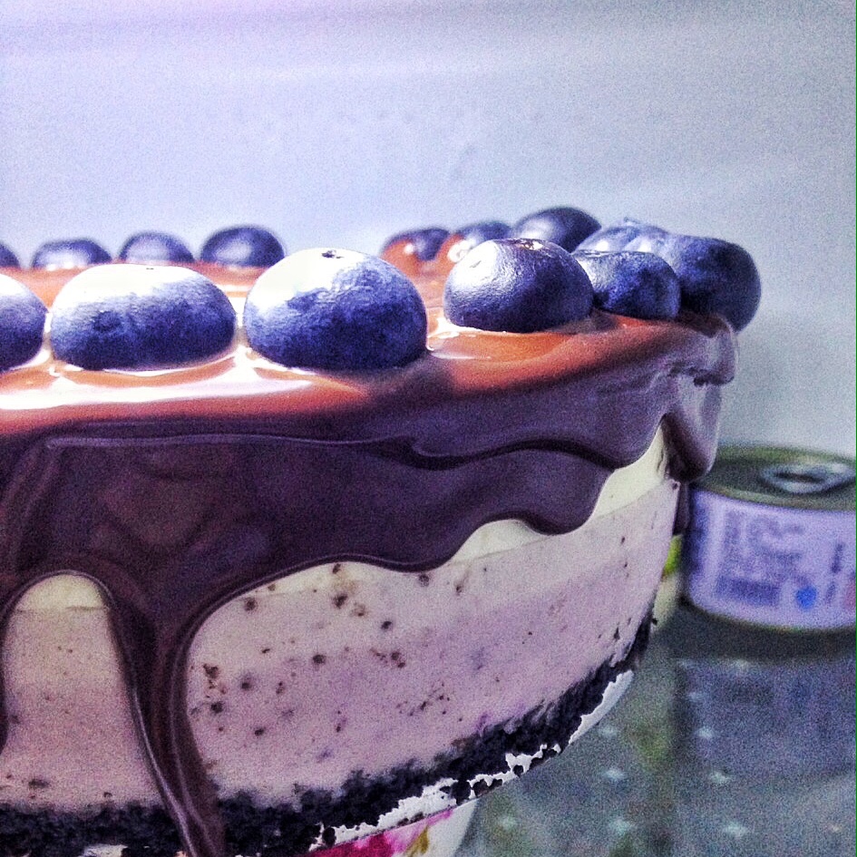 渐变蓝莓冻芝士蛋糕（免烤）