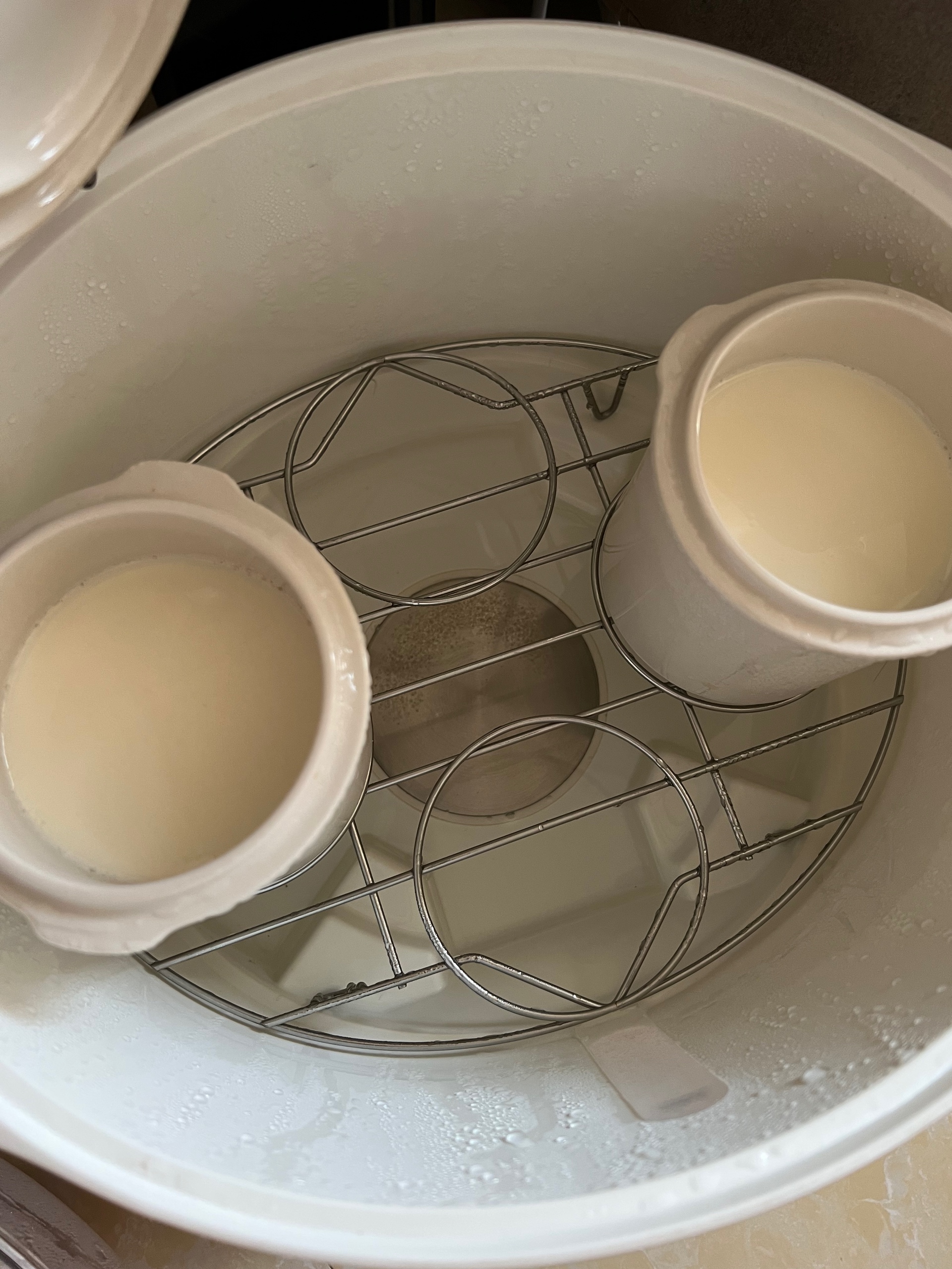 小熊酸奶机&天际隔水炖做酸奶的做法 步骤5