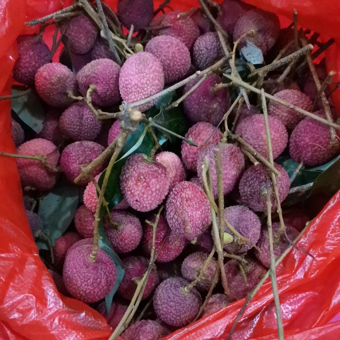 粽子包法