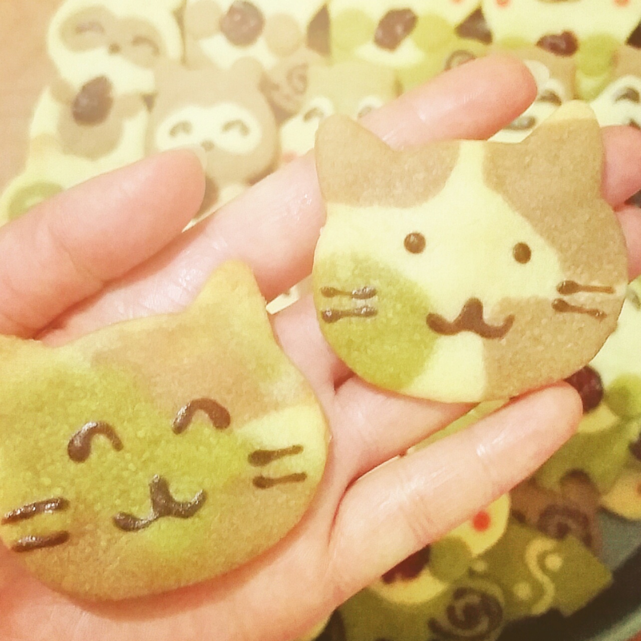 icy澈我想瘦10斤做的小猫饼干