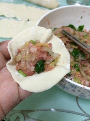 白菜猪肉饺的做法 步骤5