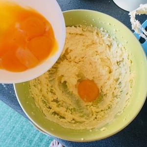魔鬼料理：罂粟籽蛋糕的做法 步骤12