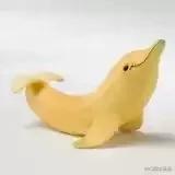 爱美食的理工女