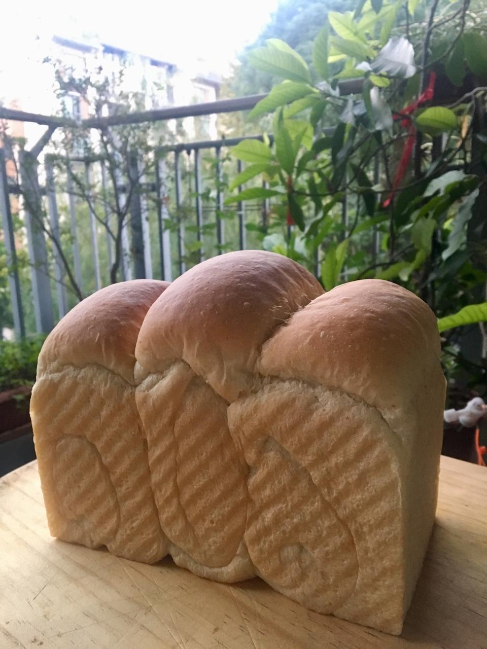 简单全麦吐司