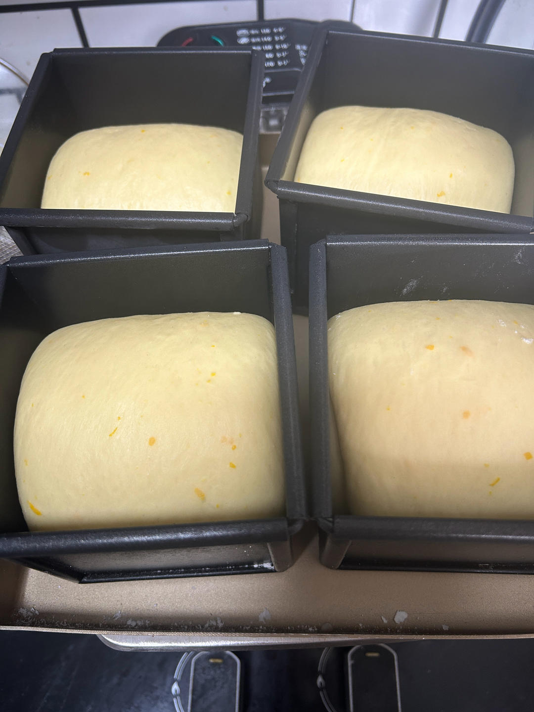 香橙🍊迷你吐司🍞/橙心橙意/250克水立方