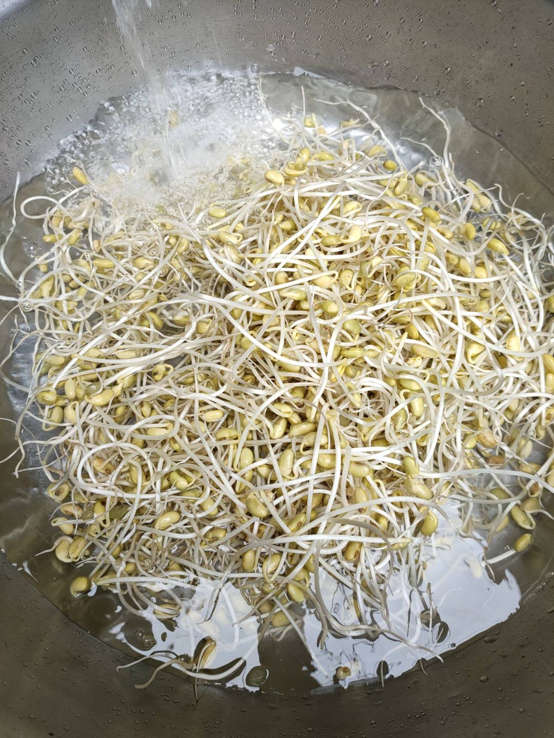 自发黄豆芽的做法 步骤3