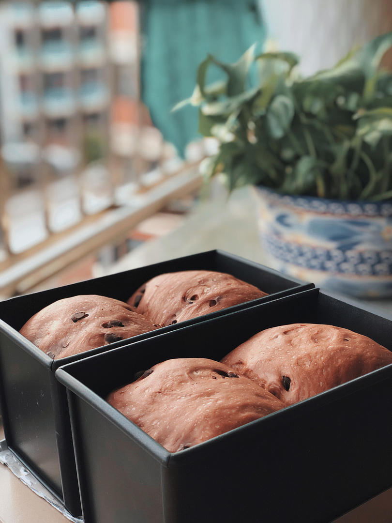 牛奶巧克力吐司