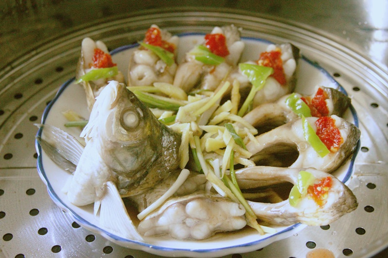 孔雀开屏鱼