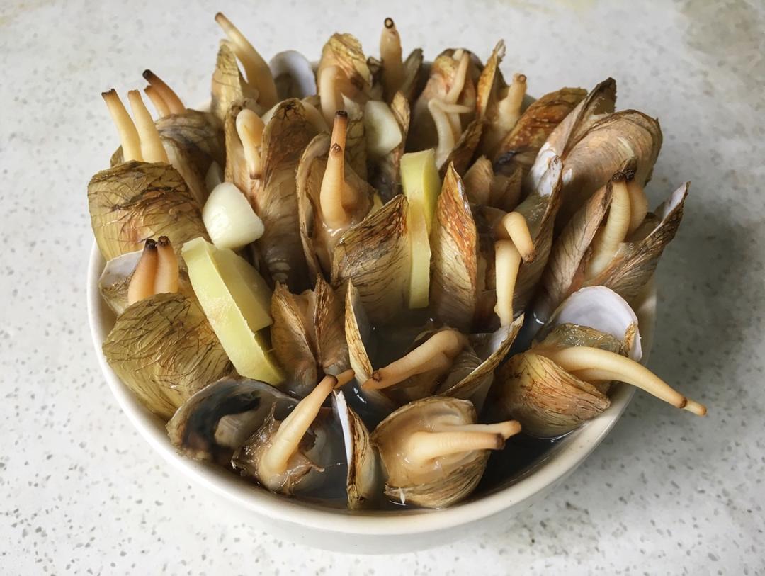 原汁原味的插蛏（蛏子）