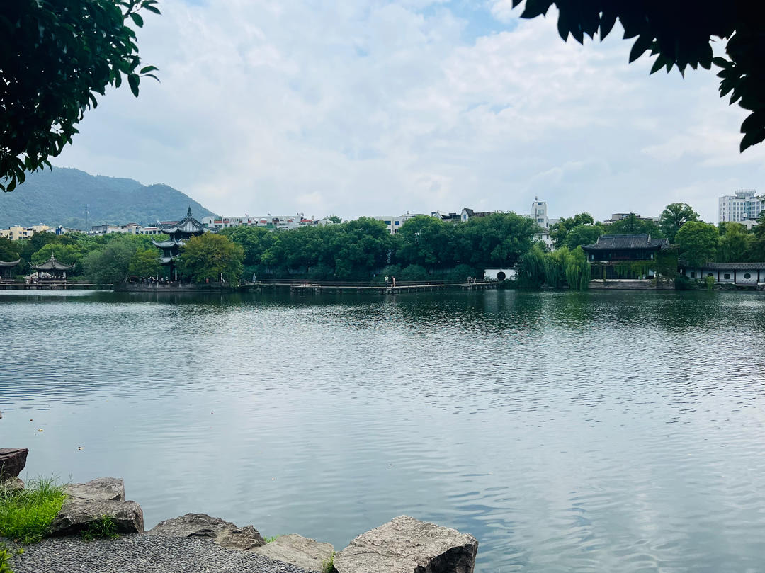 小狮子的美食天地