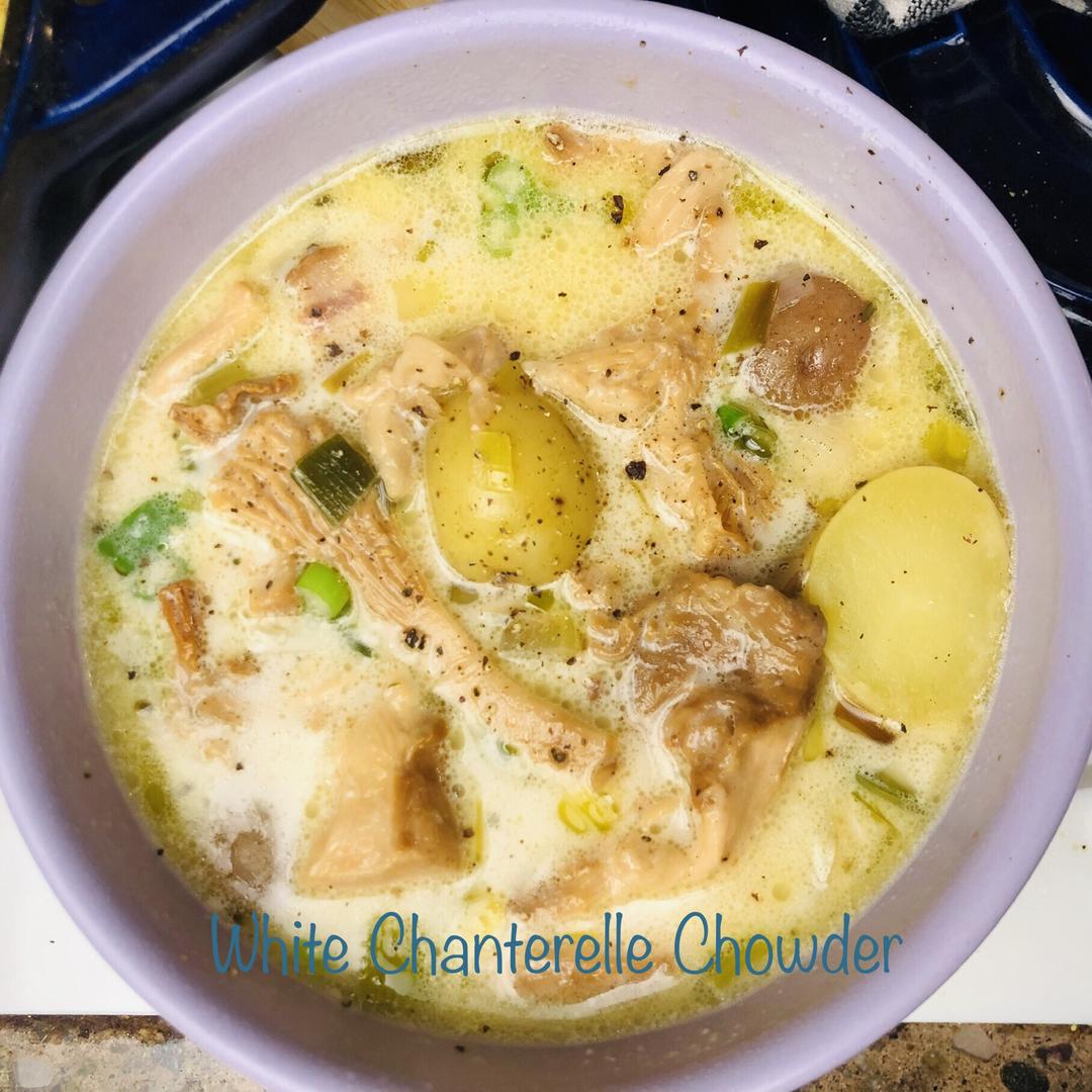 野生白鸡油菌培根浓汤White Chanterelle Chowder