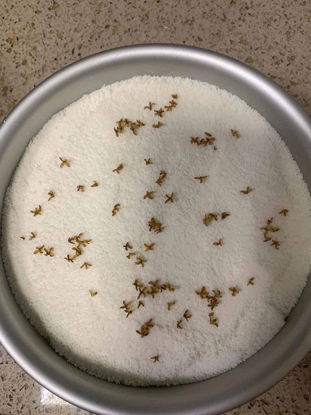 桂花大米糕