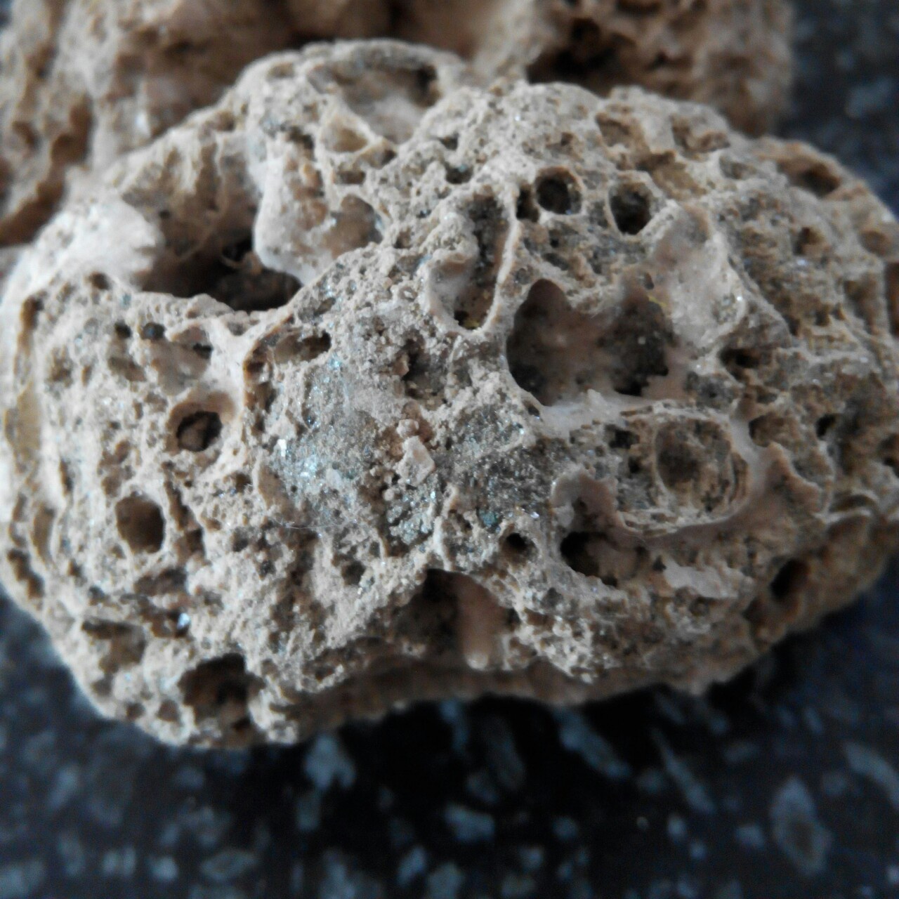 花花草草的世界