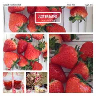 自制无添加草莓酱