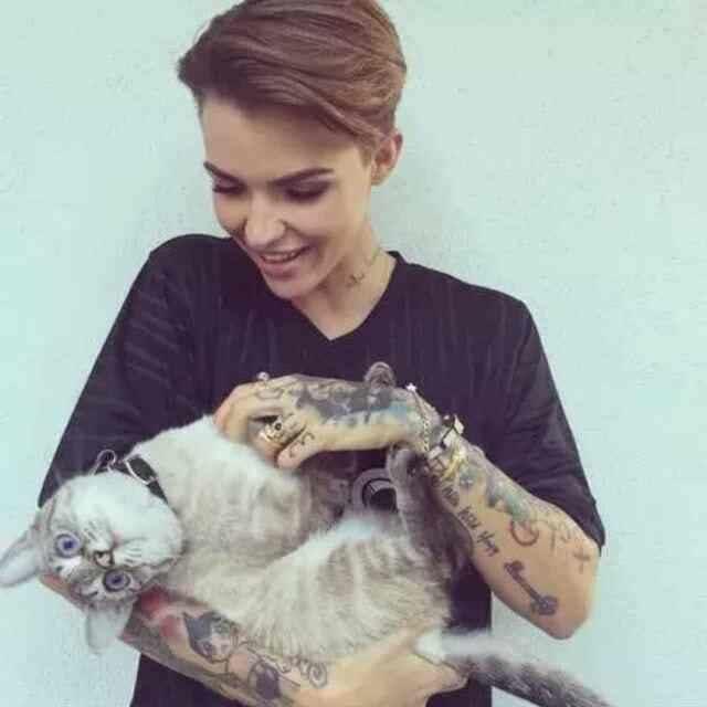 爱厨房的杨杨杨