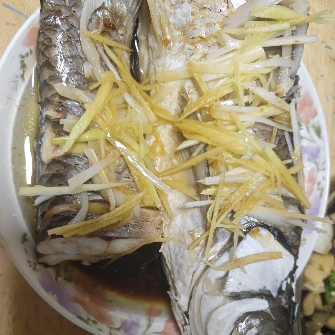 清蒸鲈鱼（桂鱼、多宝、鸦片鱼等）