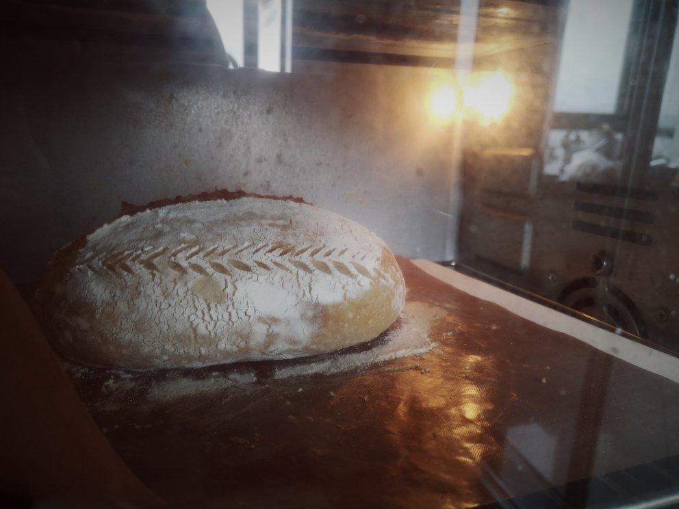 视频教程 天然酵种欧包 基础配方＆制作流程