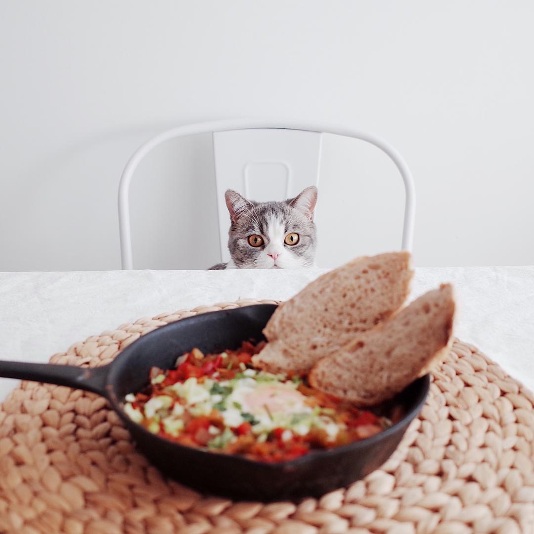 【终极烹饪课程】北非蛋