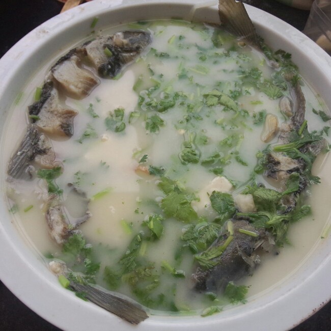 鲫鱼豆腐汤