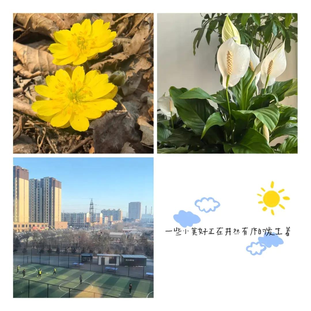 那些小美好